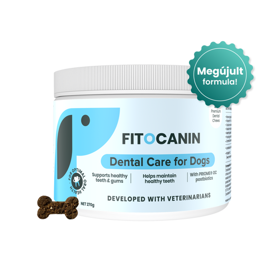 Dental Forte