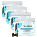 Dental Forte 4x