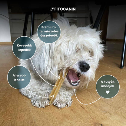 Fogtisztító Rágórúd