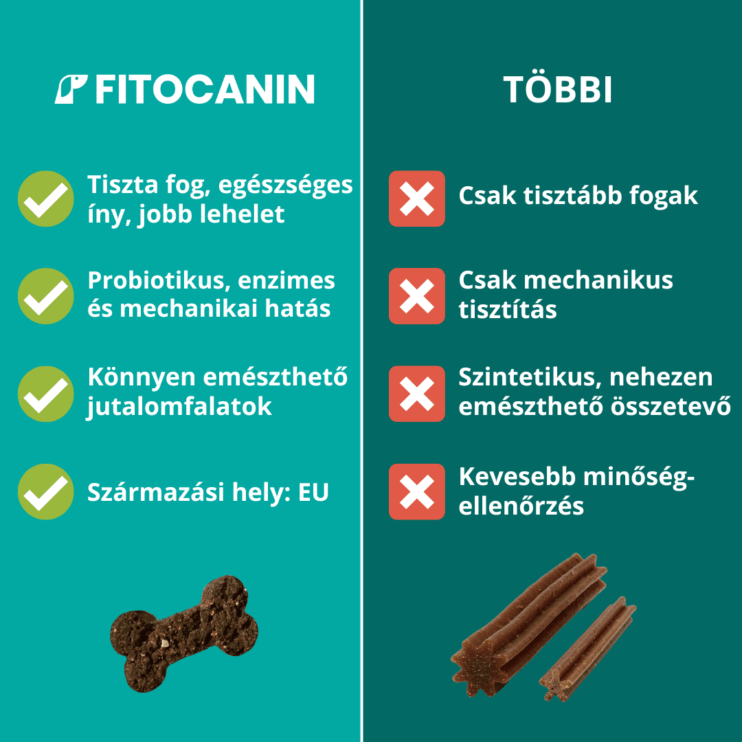 Dental Forte