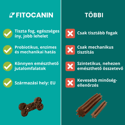 Dental Forte