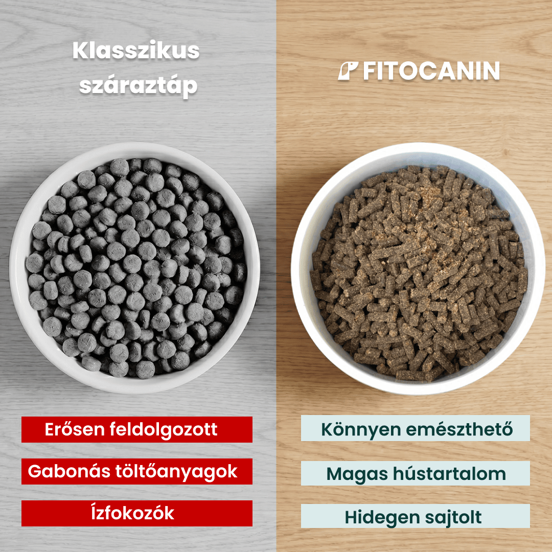 Fitocanin Adult +